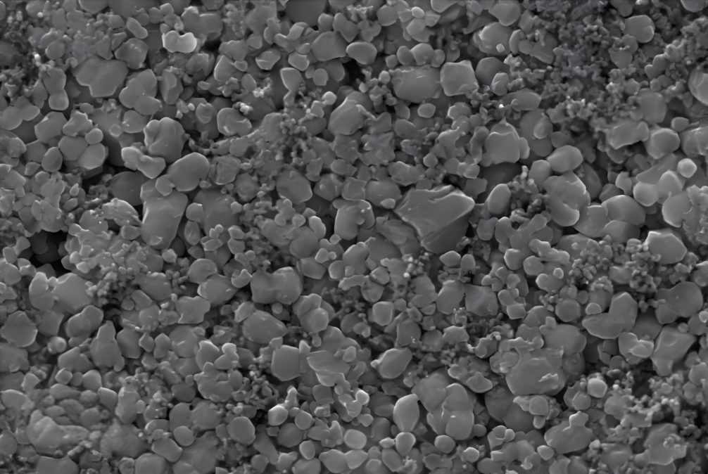 <b>ΪʲôӵصĽϸҪ</b>